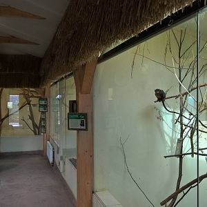 The Amazonia pavilion