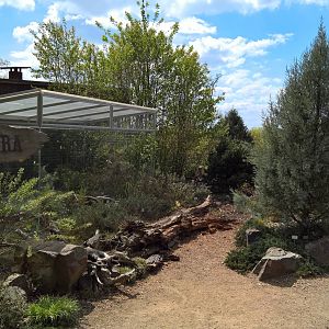 Botanical garden outside the Sonora pavilion