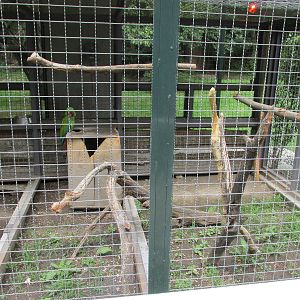 macaw aviary zoologico del altiplano