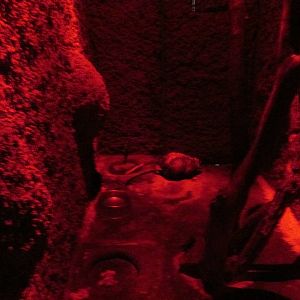 black eared opossum zoologico del altiplano