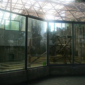 first Indoor Orangutan enclosure