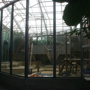 seccond Orangutan indoor enclosure