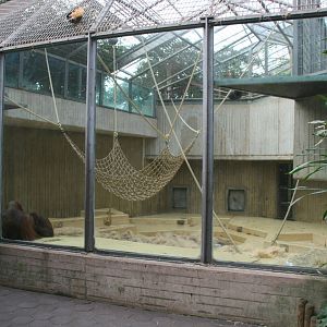 third Orangutan indoor enclosure