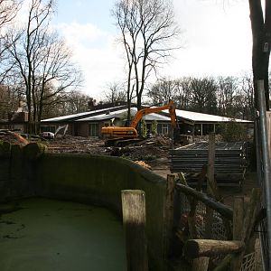 Pandasia building site