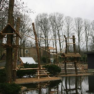 Gibbon island almost finished