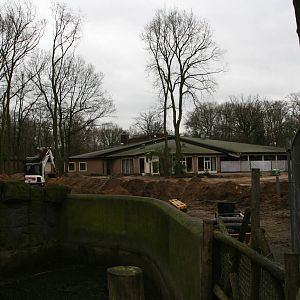 Pandasia building site