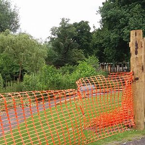 New Enclosure Being Built