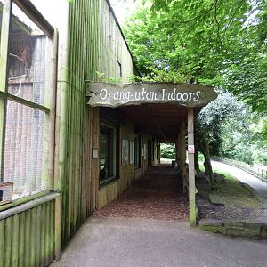 View over Orangutan Indoor Enclosure