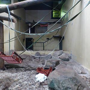 Second Indoor Orangutan Enclosure