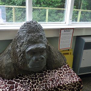 Statue of Bonzo the Gorilla