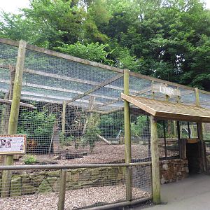 Lynx Enclosure