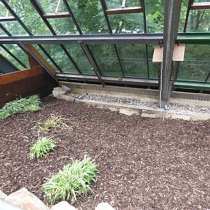 Empty Enclosure in Lorikeet Lookout