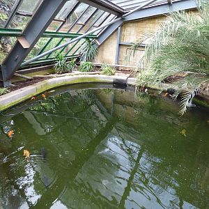 Pool in Lorikeet Lookout
