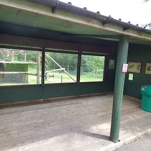 Chimpanzee Viewing Area