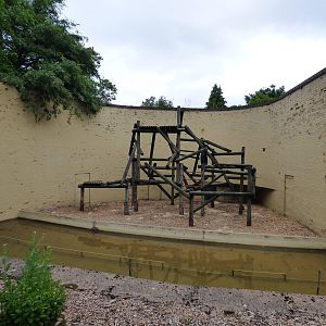 Other Outdoor Orangutan Enclosure