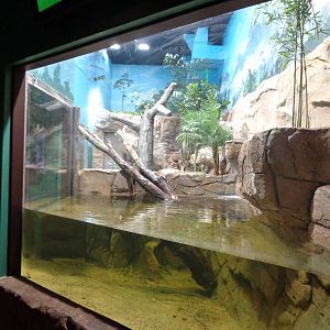 Expedition: Asia - Otter Exhibit