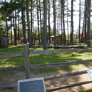 5/22/2016 - Emu Exhibit