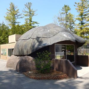 5/22/2016 - Tortoise Building with Indoor Viewing