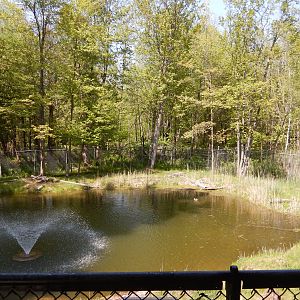 5/22/2016 - First Moose Habitat Pond
