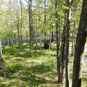 5/22/2016 - Second Moose Habitat
