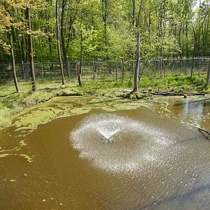 5/22/2016 - Second Moose Habitat Pond