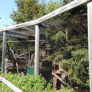 5/22/2016 - Red Panda Exhibits