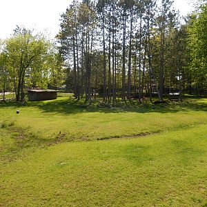 5/22/2016 - White-tailed Deer, Wild Turkey, & Sandhill Crane Habitat