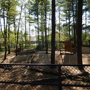 5/22/2016 - Red Wolf Habitat