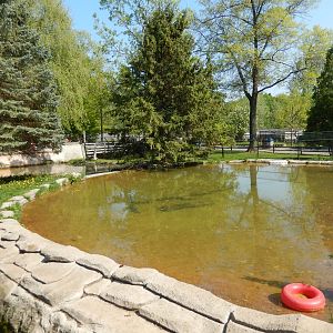 5/22/2016 - River Otter Habitat