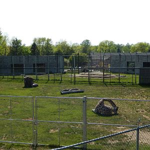 5/22/2016 - Giraffe Exhibit
