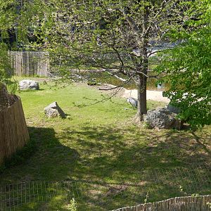 5/22/2016 - Wattled Crane Habitat