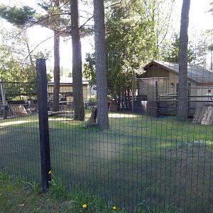 5/22/2016 - Blue Duiker Habitat