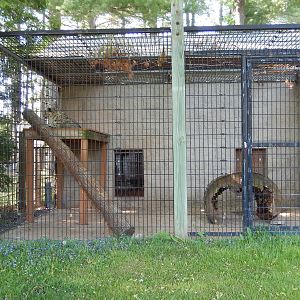 5/22/2016 - Second Snow Leopard Exhibit