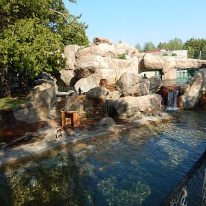 5/22/2016 - African Penguin & Egyptian Goose Habitat