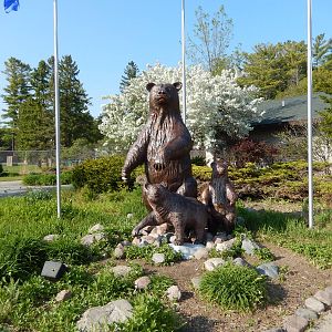5/22/2016 - Bear Statues