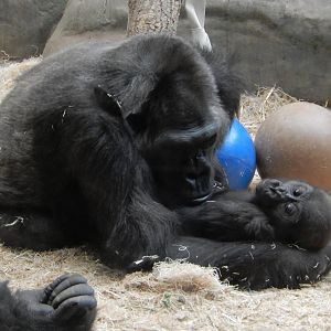 5/19/2016 - Femelle and Sulaiman