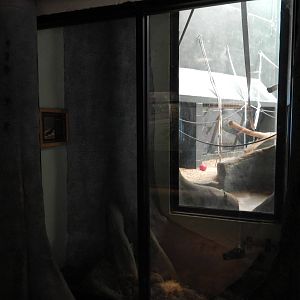 5/19/2016 - Former Terrarium? (My 1,000th Photo!)