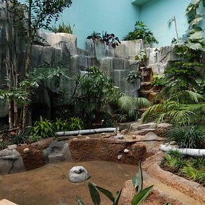 5/19/2016 - Free Flight Section of the Aviary