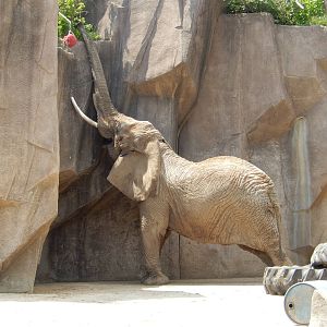 5/19/2016 - Must Get Browse!