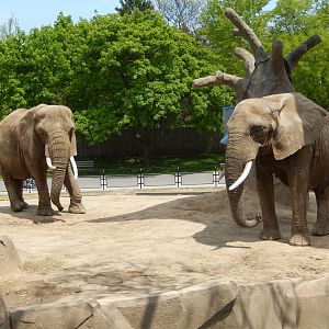 5/19/2016 - Ruth and Brittany