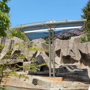 5/19/2016 - Polar Bear Shade Structure