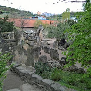 Garden outside the pavilion
