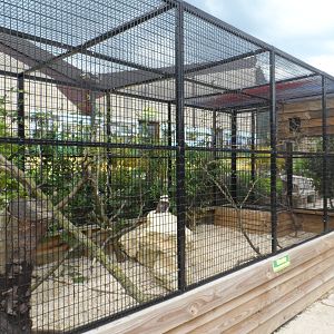 Laughing Kookaburra Aviary