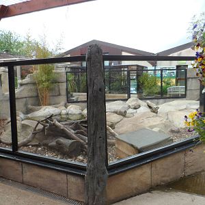 Asian Short-clawed Otter Exhibit