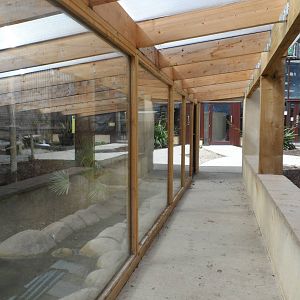 Asian Water Monitor Exhibit