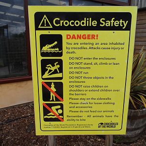 Crocodile Safety