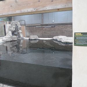 Siamese Crocodile Exhibit