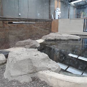Siamese Crocodile Exhibit