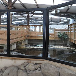 Nile Crocodile Exhibit