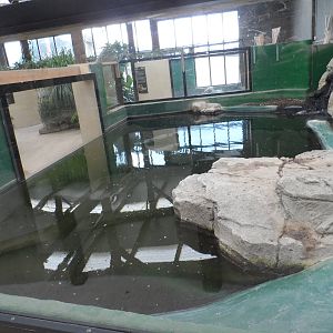 Cuban Crocodile Exhibit